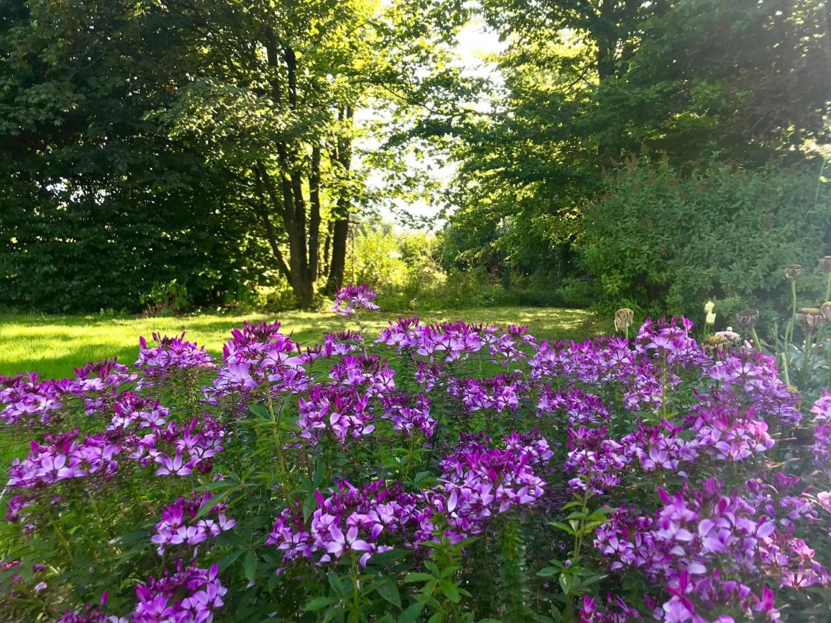 "Un Matin Au Jardin" Francorchamps Exterior foto